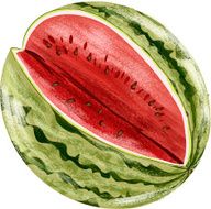 Watermelon Fruit N24