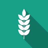 Wheat Icon N6