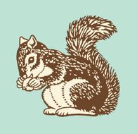 Squirrel Holding Nut