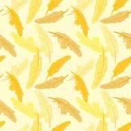 Hand Drawn Vintage Feather Seamless Pattern