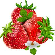 Strawberry N47
