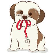 Shih Tzu Puppy with leash in mouth