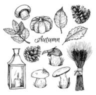 Hand drawn vector illustration - Autumn Design elements