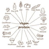 Vegan protein icons