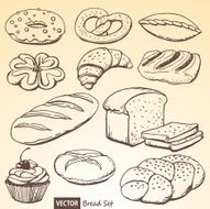 Set of vector bread and rolls N2