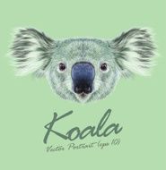 Vector Illustrative Portrait of Koala Bear