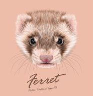 Vector Illustrative portrait of Ferret N2