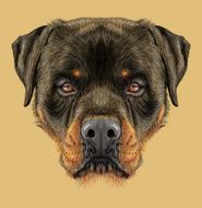 Illustrative portrait of Rottweiler Dog N2