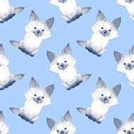 Kitten Cute baby pattern 1 N2