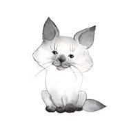 Kitten Cute baby