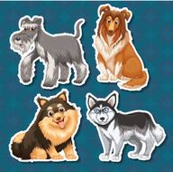 Different type of dogs