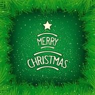 christmas tree N384