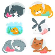 variety animal splinting pack vector illustration