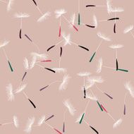 Group of Dandelion seeds N2
