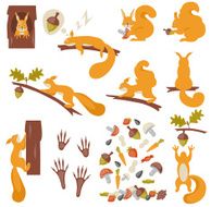 Set of squirrels cartoon Squirrels N2