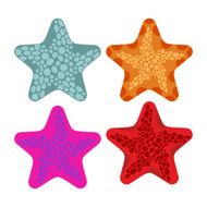 Set colored starfish Animals of ocean Vector illustration