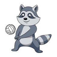 Cartoon raccoon with volleyball ball N2