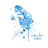 Isolated blue watercolor feather N2