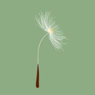 Dandelion seed N3