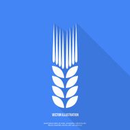 Ear of wheat flat design vector
