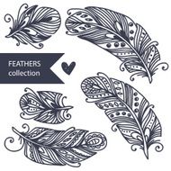 Decorative Feather vector set