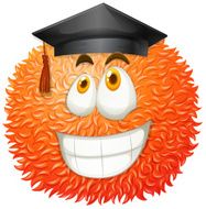 Fluffy ball with graduation cap N2