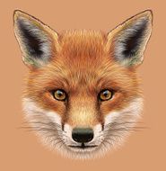 Illustrative Portrait of a Red Fox