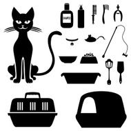 Cat and set to care for her N2