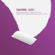 Ripped rolled paper for your creative design N2
