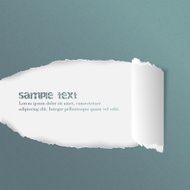 Torn rolled ripped paper vector illustration