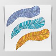 Set of three hand-drawn graphic Feathers N2