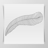 Hand-drawn Feather N2