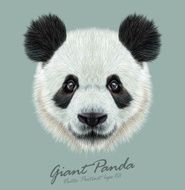 Vector Illustrative portrait of Panda