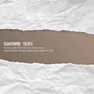 Ripped paper with free space for your text