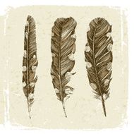 Hand drawn dotted feathers in vintage style N2