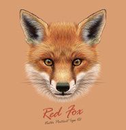 Vector Illustrative Portrait of a Red Fox