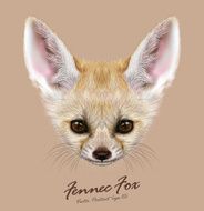 Vector Illustrative portrait of Fennec Fox