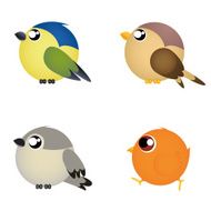 Birds N136