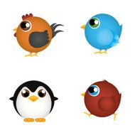 Birds N137