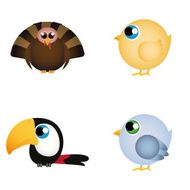 Birds N138