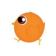 Bird N60
