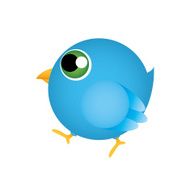 Bird N63