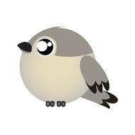 Bird N65