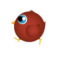 Bird N66