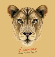 Vector Portrait of a Lioness