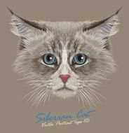Vector Portrait of Siberian Cat
