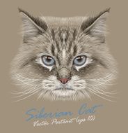 Vector Portrait of Siberian Cat N2