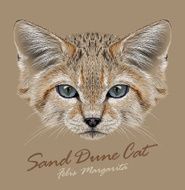 Vector Portrait Sand Dune Cats