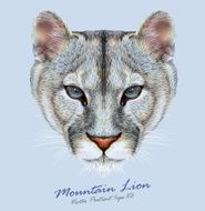 Vector Portrait of a Mountain Lion on Blue background