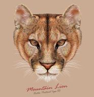 Vector Portrait of a Mountain Lion
